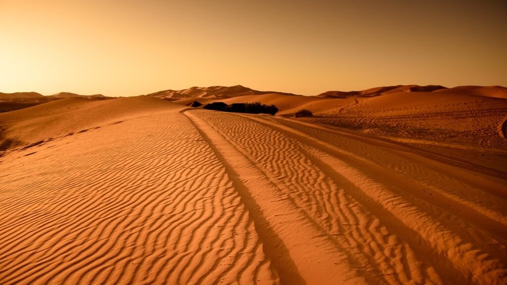 dune, landform, travel