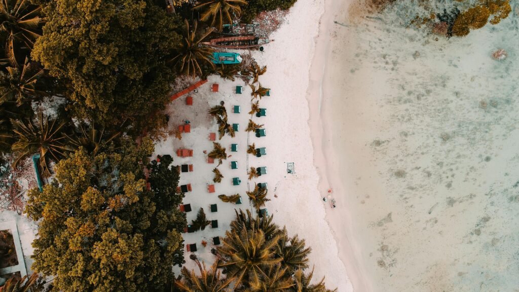 Aerial View of Seashore